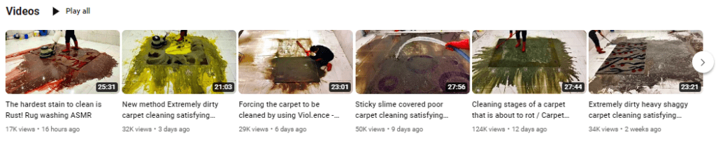 How Carpet Cleaning Can Bring Huge Profits on YouTube 2024