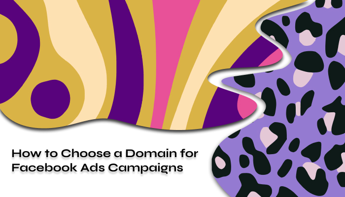 How to Choose a Domain for Facebook Ads Campaigns