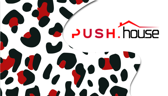 Push.House – advertising network review, promo code