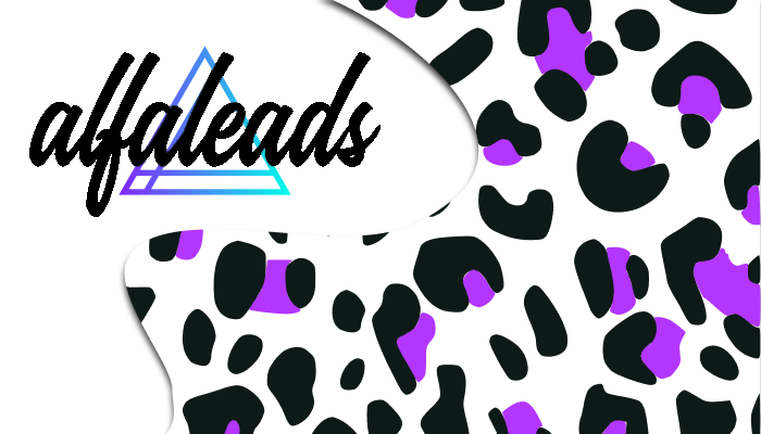 Alfaleads – Affiliate Network Review & Details