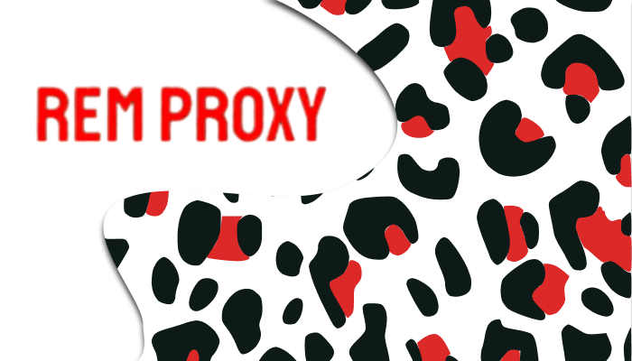 Remproxy Service Review Exclusive Promo Code 2024