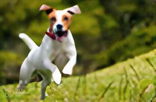 Una imagen procesada por IA en la que se puede ver un perro corriendo