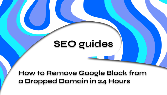 How to Remove Google Block from a Dropped Domain in 24 Hours 2024
