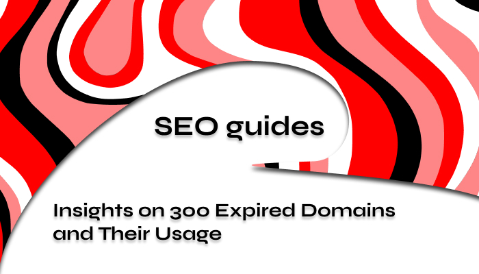 Insights on 300 Expired Domains and Their Usage 2024