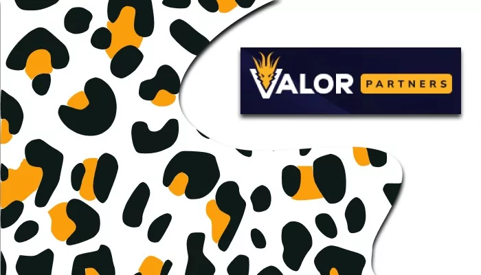 Valor.Partners: a Direct Advertiser of the Valor Brand