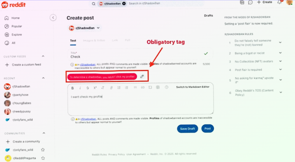 AffDays creation of a post to detect if a shadowban took place
