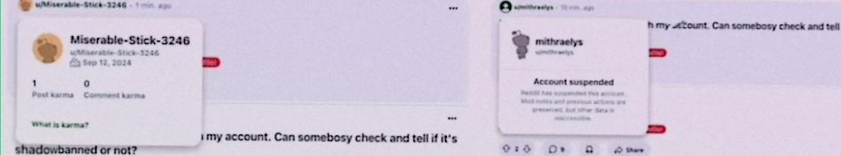 AffDays results of checking for shadowban