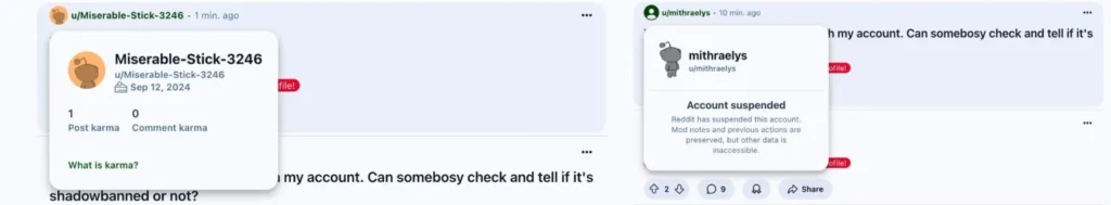 results of checking for shadowban
