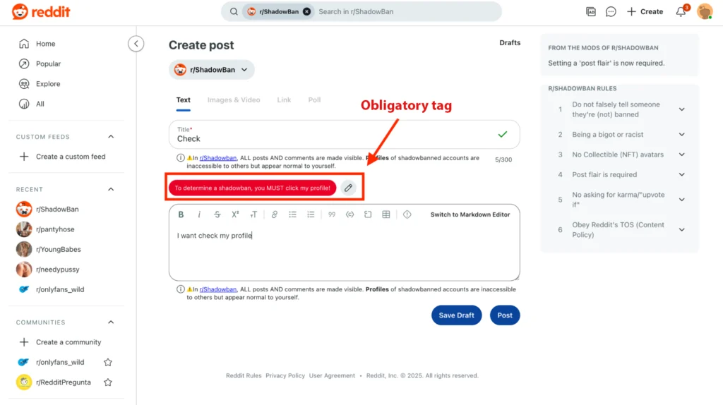 creation of a post to detect if a shadowban took place