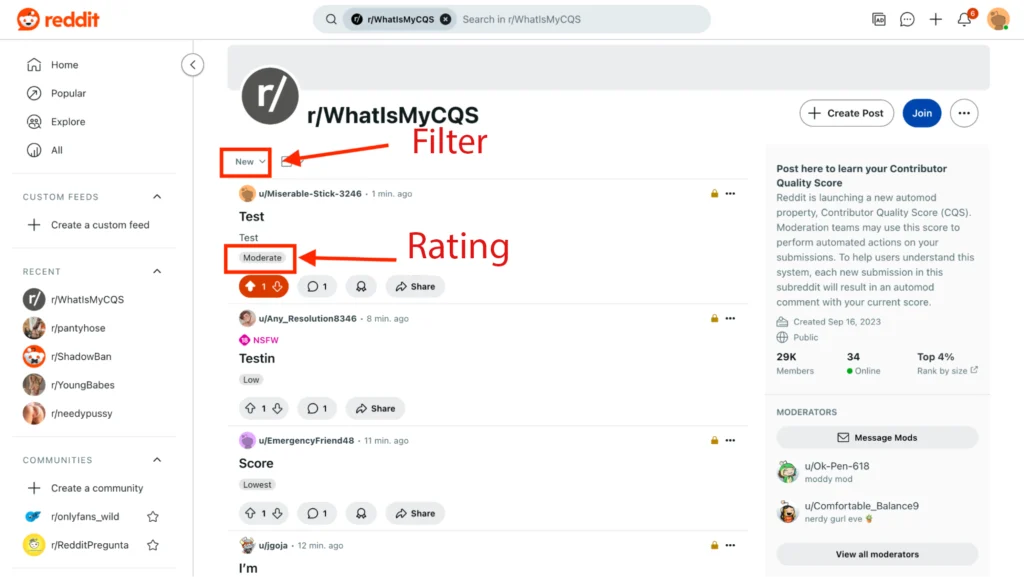 r/WhatIsMyCQS section screenshot