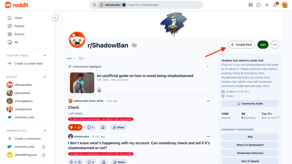 r/ShadowBan section