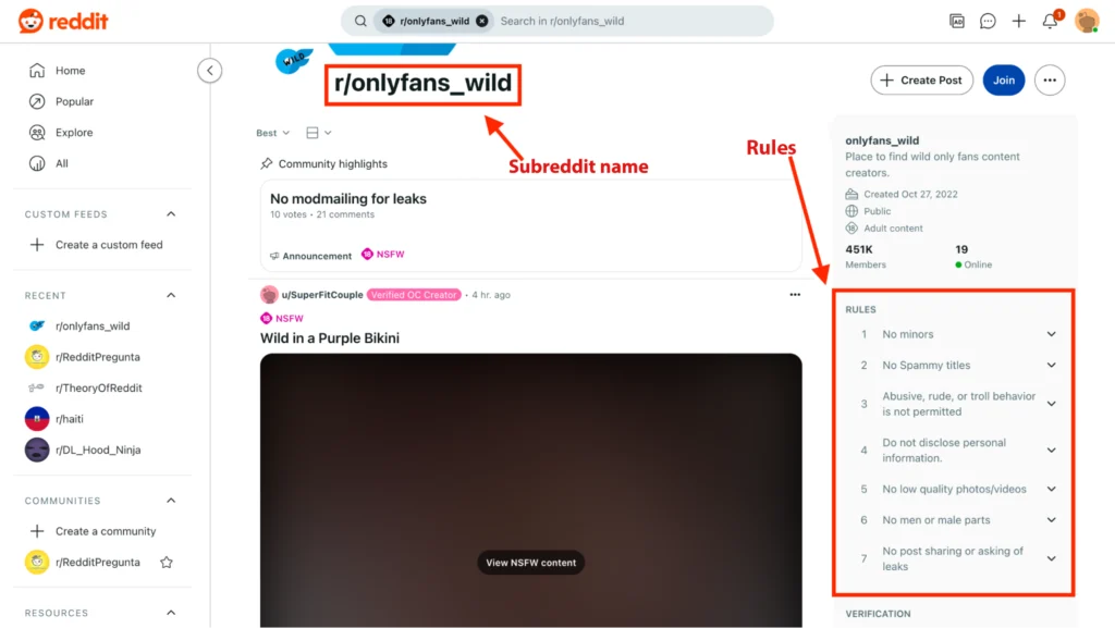reddit's subreddit and the rules section