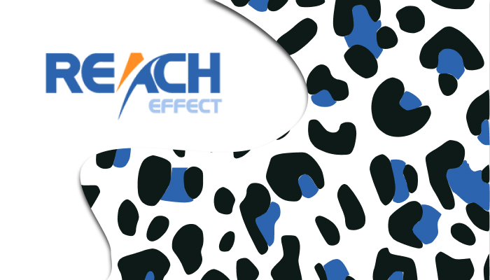 Reacheffect: reseña, formatos, GEO y bono del 20 %