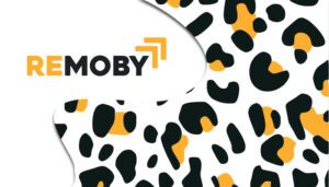Remoby Review: Ad Formats, Traffic, Features & GEOs